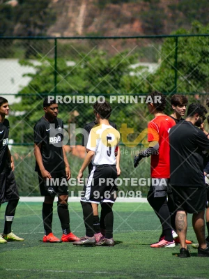 Detalhes da foto #3454253