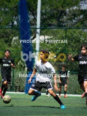 Detalhes da foto #8905452