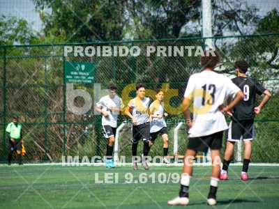 Detalhes da foto #8656178