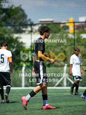 Detalhes da foto #2539334