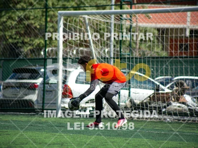 Detalhes da foto #2546304