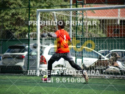 Detalhes da foto #7316279
