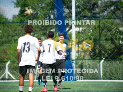Detalhes da foto #4360584