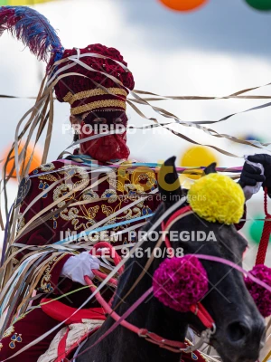 Detalhes da foto #78767