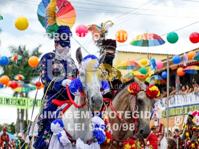 Detalhes da foto #21343