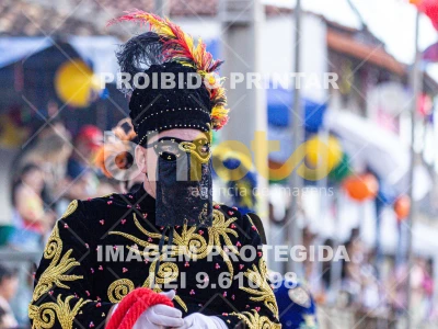 Detalhes da foto #67237