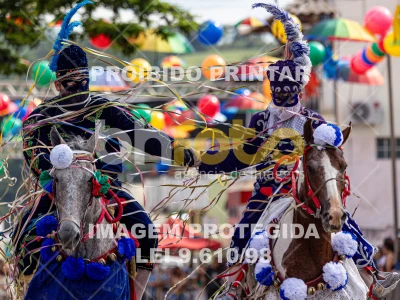 Detalhes da foto #84841