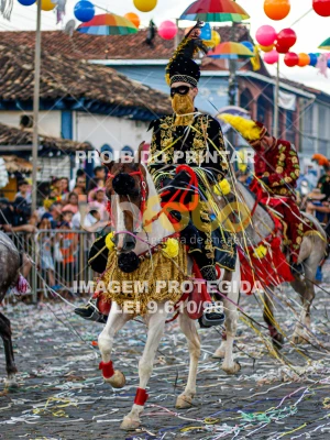 Detalhes da foto #98506