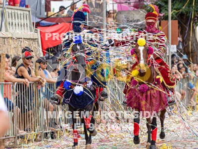 Detalhes da foto #83910