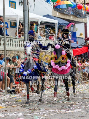 Detalhes da foto #77208