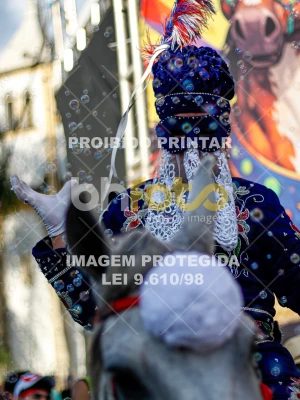 Detalhes da foto #23165