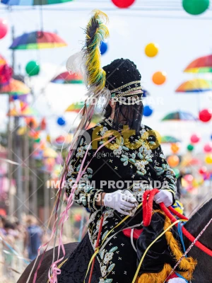 Detalhes da foto #17535