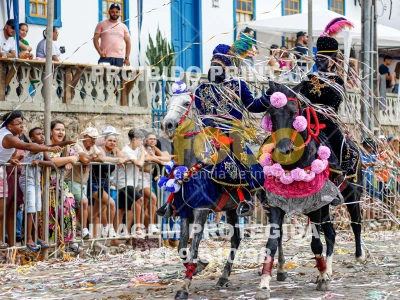 Detalhes da foto #92049