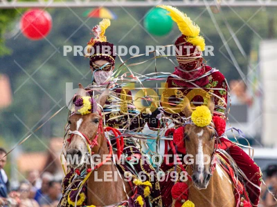 Detalhes da foto #43995