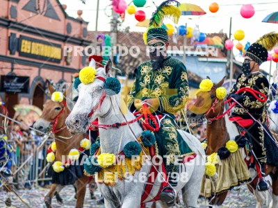 Detalhes da foto #74902