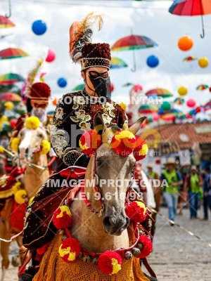 Detalhes da foto #96762