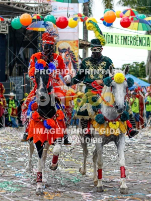 Detalhes da foto #82003