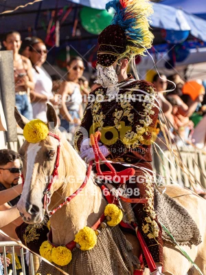 Detalhes da foto #19852