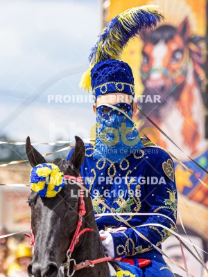 Detalhes da foto #81278