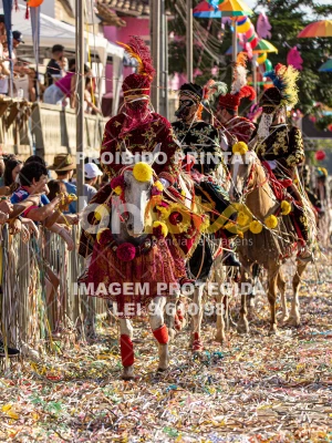 Detalhes da foto #35519