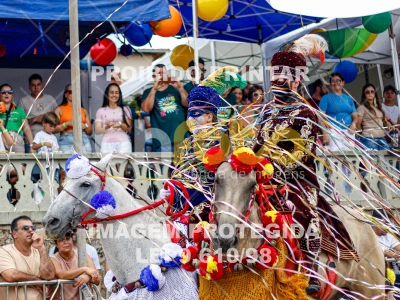 Detalhes da foto #76516