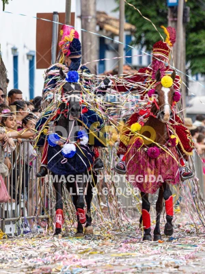 Detalhes da foto #60276