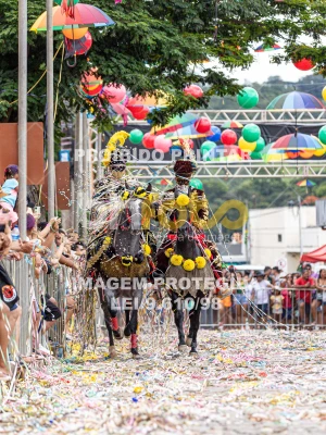 Detalhes da foto #28398