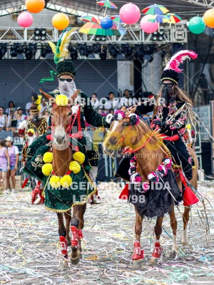 Detalhes da foto #35664