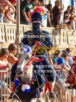 Detalhes da foto #89622