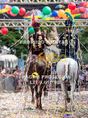 Detalhes da foto #49132