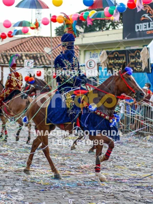 Detalhes da foto #32697