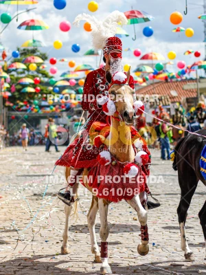 Detalhes da foto #72168