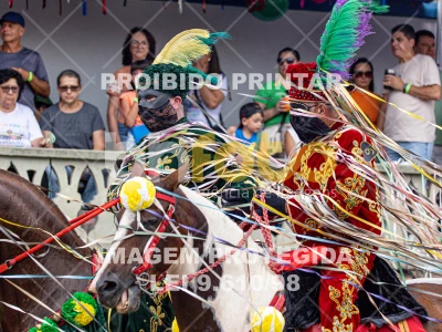 Detalhes da foto #54823