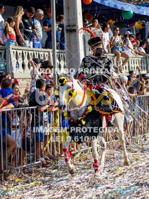 Detalhes da foto #49673