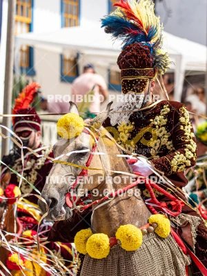 Detalhes da foto #15445