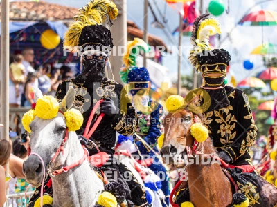 Detalhes da foto #72341