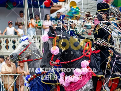 Detalhes da foto #52845