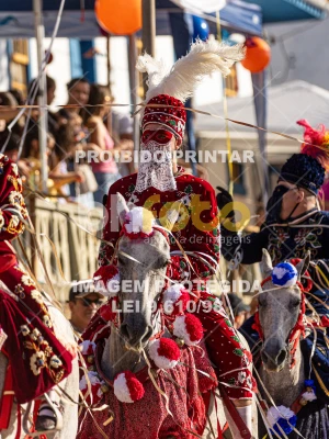 Detalhes da foto #53371