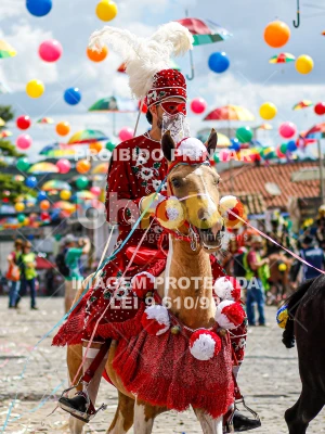Detalhes da foto #61860