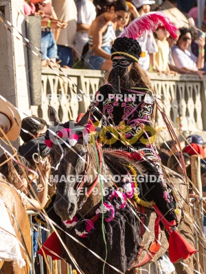 Detalhes da foto #67331