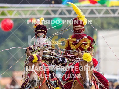 Detalhes da foto #94599