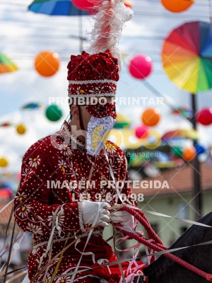 Detalhes da foto #51895