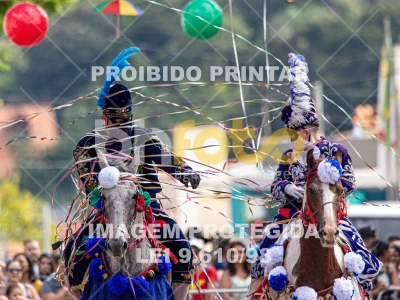 Detalhes da foto #49342