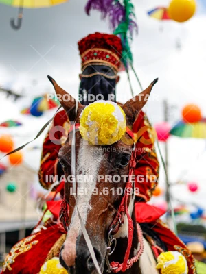 Detalhes da foto #49584