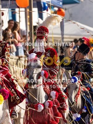 Detalhes da foto #69182