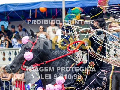 Detalhes da foto #14335