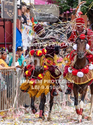 Detalhes da foto #57751