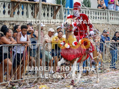 Detalhes da foto #83249