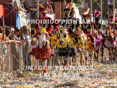 Detalhes da foto #34909