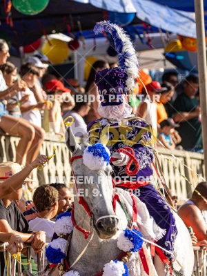 Detalhes da foto #13361